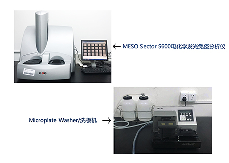 凯时首页电化学发光免疫分析仪和全自动洗板机