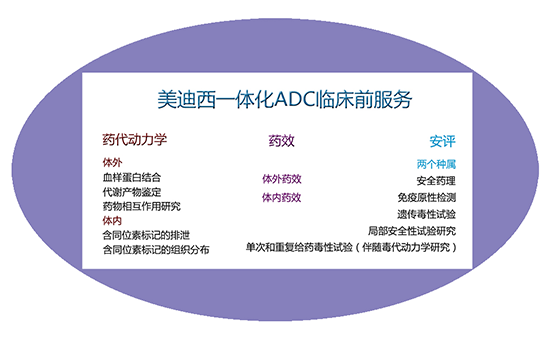 凯时首页一体化ADC临床前服务