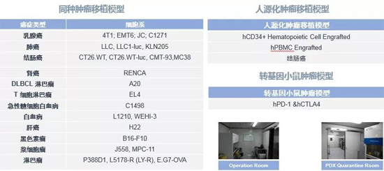 凯时首页药效学动物模型