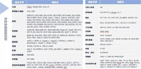 凯时首页药效学动物模型