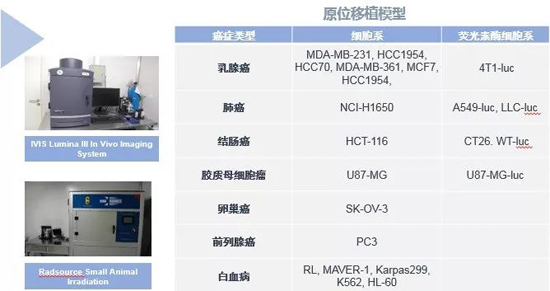 凯时首页药效学动物模型