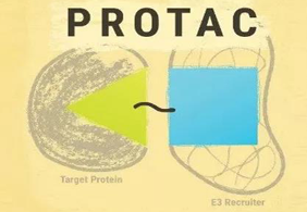 热点前沿:PROTAC初露锋芒，SD-36对抗肿瘤效果卓越