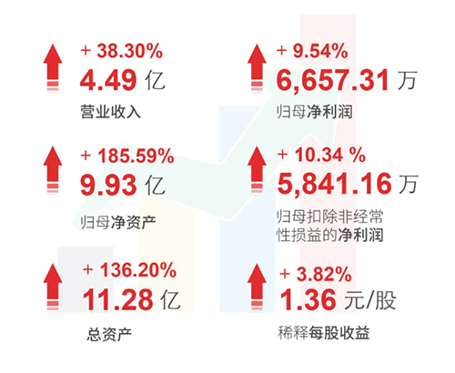 凯时首页 财务亮点