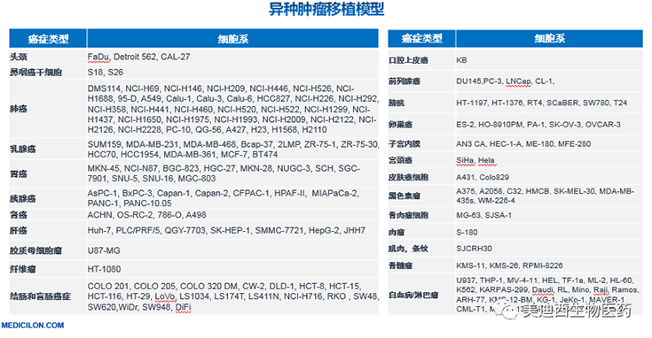 凯时首页异种肿瘤移植模型清单