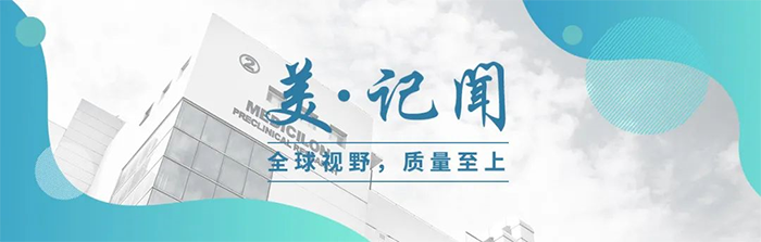 海宁市副市长杨文华一行调研凯时首页