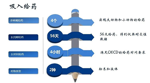 凯时首页吸入给药安全性评价服务