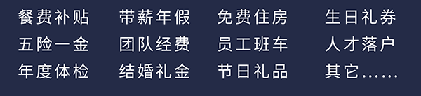 凯时首页员工福利：餐费补贴、五险一金、年度体检、带薪年假、团队经费、结婚礼金、免费住房、员工班车、节日礼品、生日礼券、人才落户、其它……