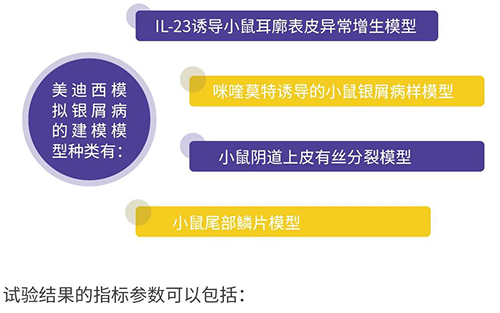 凯时首页模拟银屑病的建模模型种类