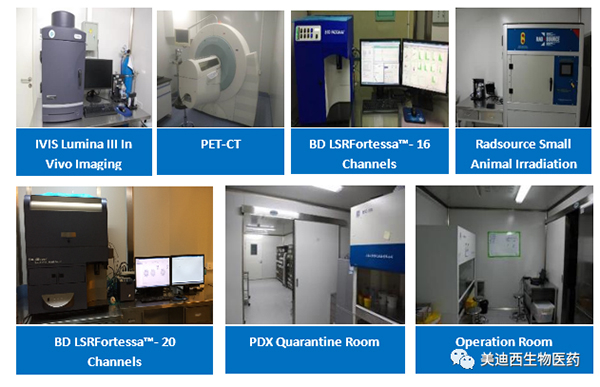 凯时首页药理部拥有IVIS Lumina III, PET-CT, BD LSRFortessa-16，Flow Cytometry等仪器