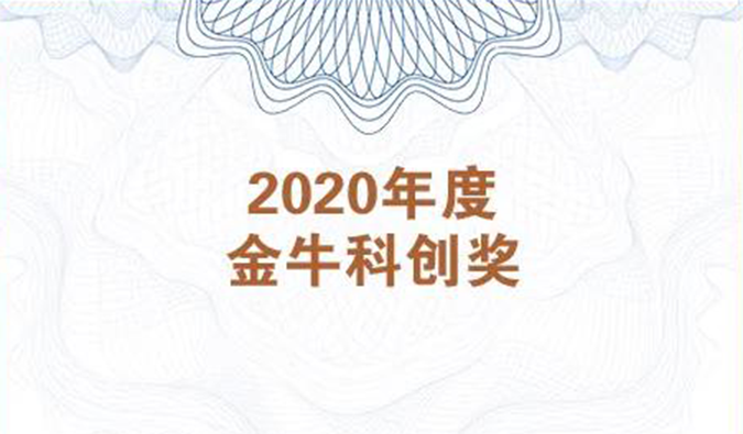 再获市场嘉许！凯时首页荣膺2020年度“金？拼唇薄