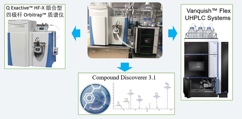 UHPLC-UV-QE-HF-X-system.jpg