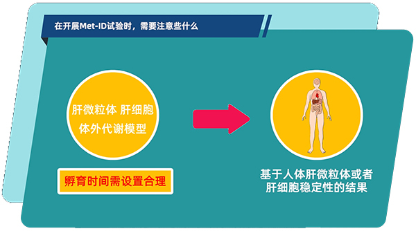 肝微粒体、肝细胞体外代谢模型中，孵育时间需设置合理.jpg