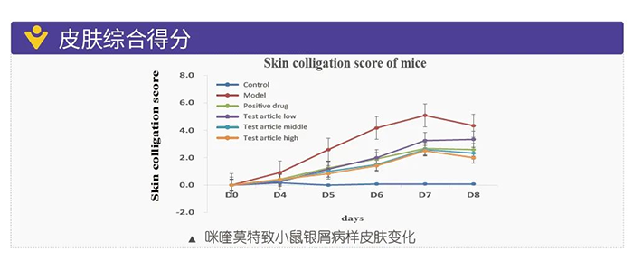 凯时首页模拟银屑病的建模模型-皮肤综合得分.png