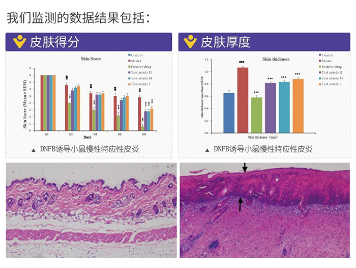 凯时首页监测的数据结果.png