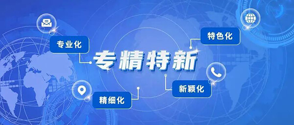 凯时首页普亚荣获2021年度上海市“专精特新”企业认定.jpg