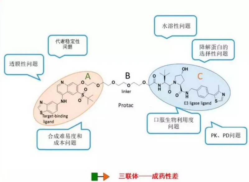 PROTAC分子量较大，溶解性较差.jpg