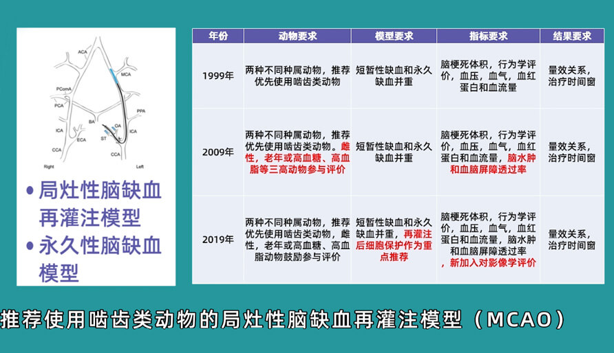 袁云云博士：啮齿类动物脑卒中疾病药效成药性评价系统（2）.jpg