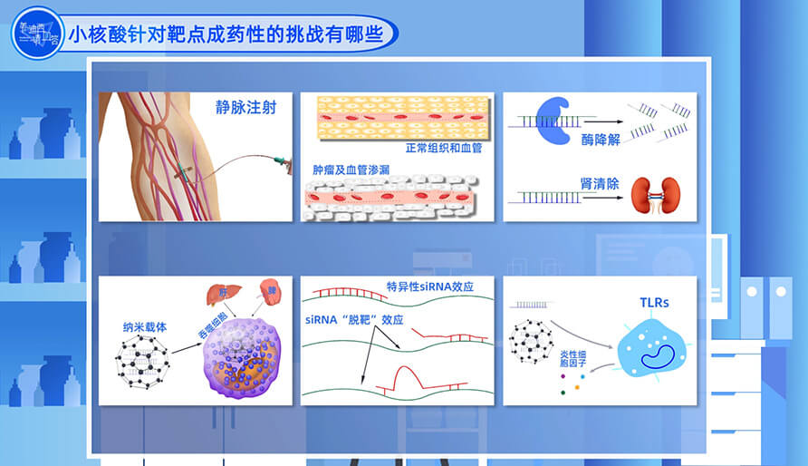 小核酸针对靶点成药性的挑战有哪些？