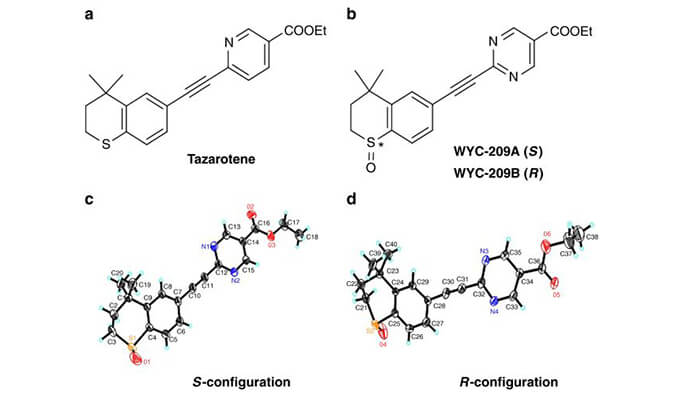 WYC-209可抑制恶性小鼠黑色素瘤肿瘤再生细胞增殖，SPR分析通过凯时首页使用Biacore 8K设备进行