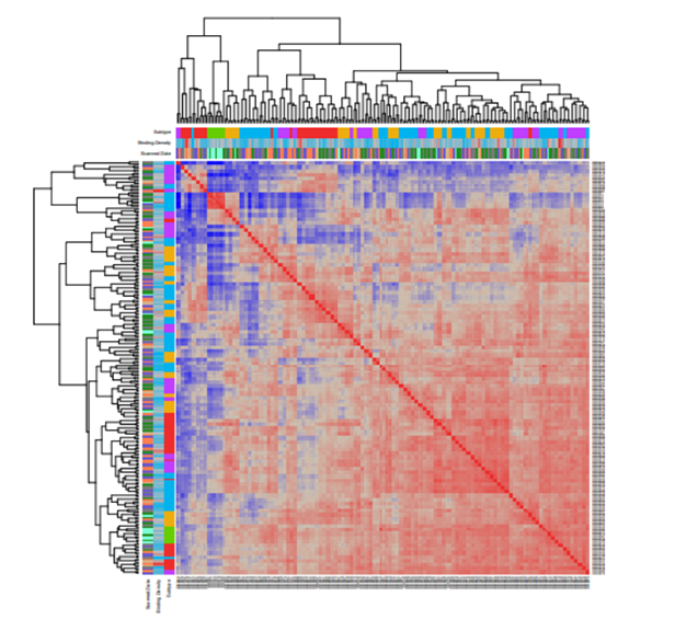 nSolver?-Analysis-Software.png