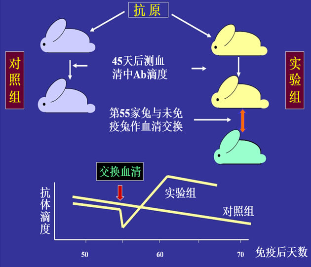 Figure-1：机体对抗体浓度变化的感知与反馈性自我调节.jpg