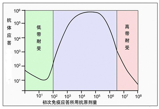 Figure-2-免疫应答产生抗体依赖于初次免疫应答所用抗原剂量.jpg