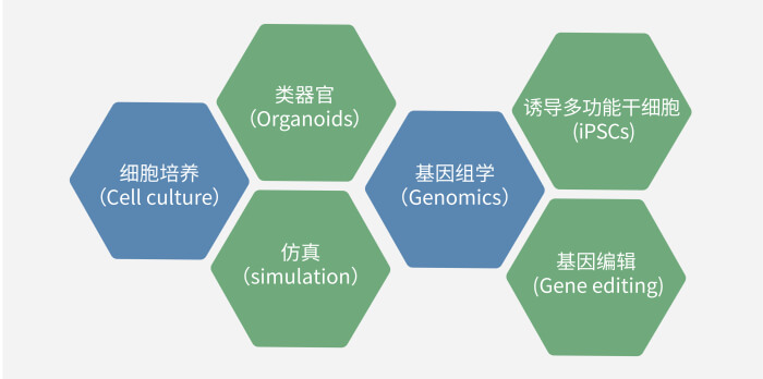 六大技术板块已上线，持续升级中.jpg