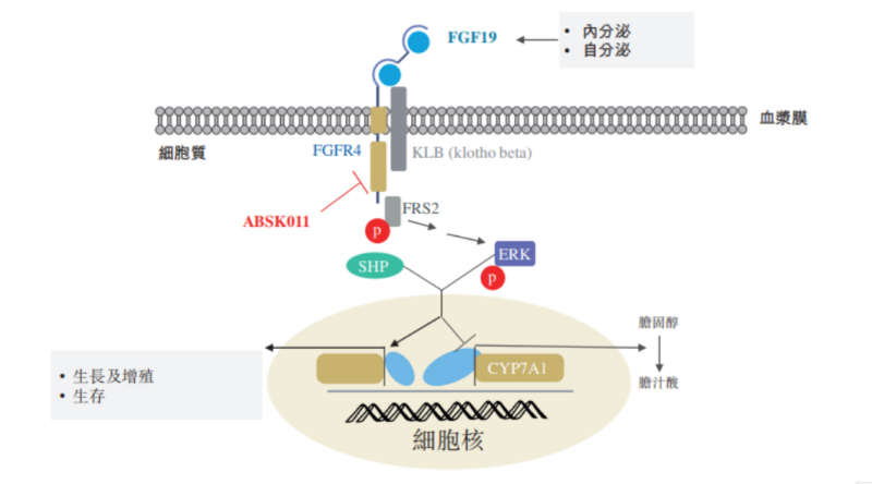 图源：公开资料.jpg