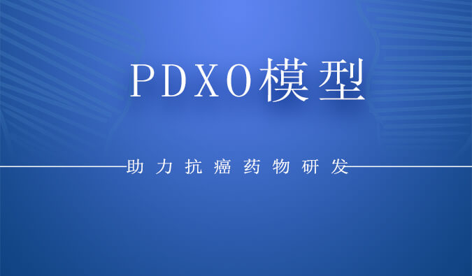 PDXO模型.jpg