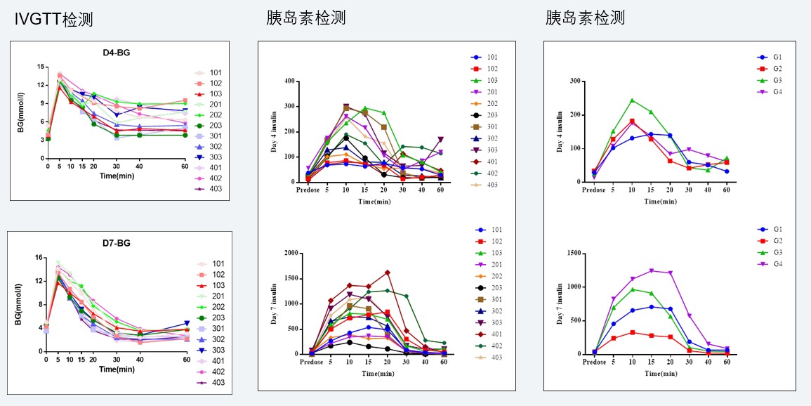 案例4：食蟹猴IVGTT和胰岛素检测实验.jpg